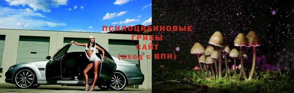 стаф Елизово