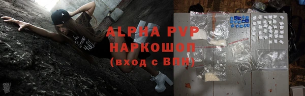 стаф Елизово