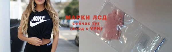 apvp Дмитровск