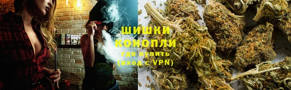 apvp Дмитровск
