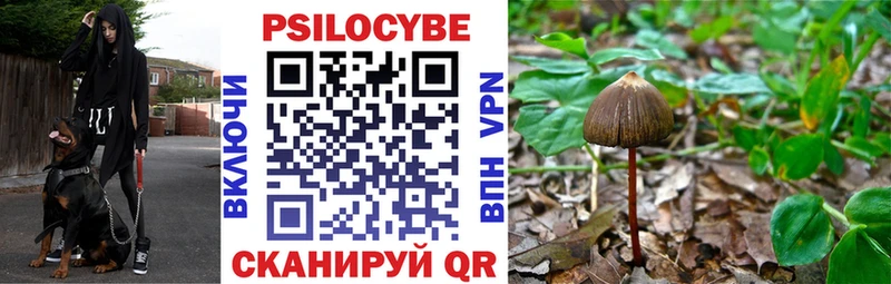 Галлюциногенные грибы прущие грибы  Купить  Кириши 